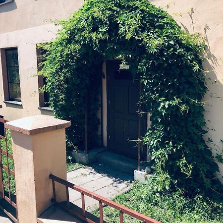 Apartamentai Klaipedos Senamiestyje Klaipeda Bagian luar foto