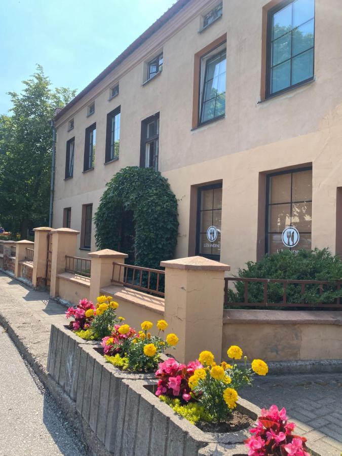 Apartamentai Klaipedos Senamiestyje Klaipeda Bagian luar foto